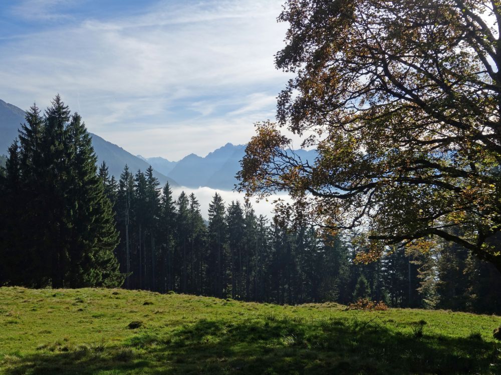 Blick zum Vorder Glärnisch