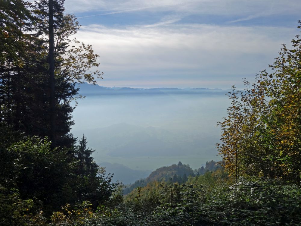 Nebel über Linthebene