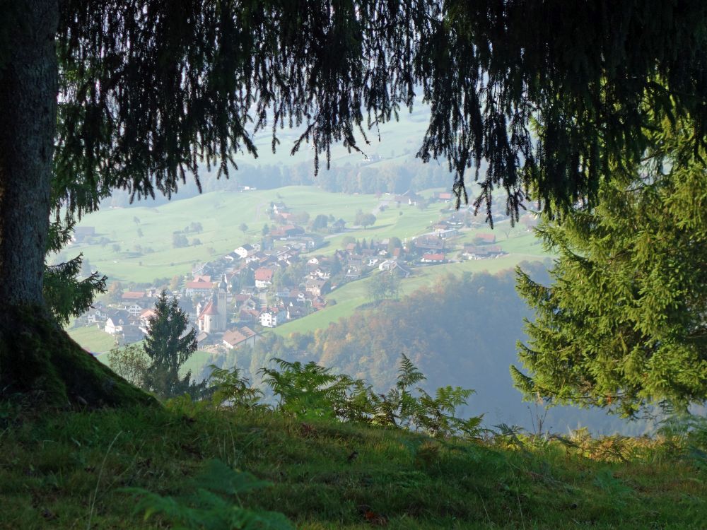 Blick auf Rieden