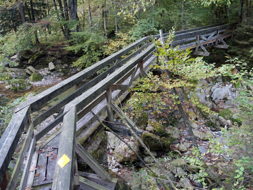 Holzsteg im Steinenbachtobel