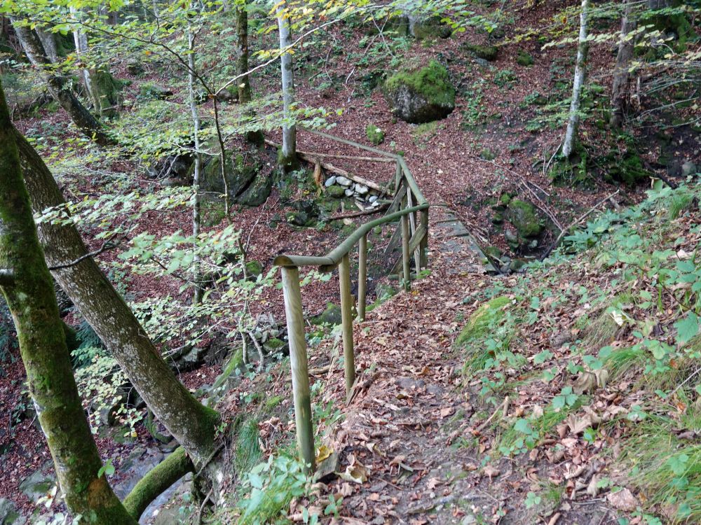 Pfad im Steinenbachtobel