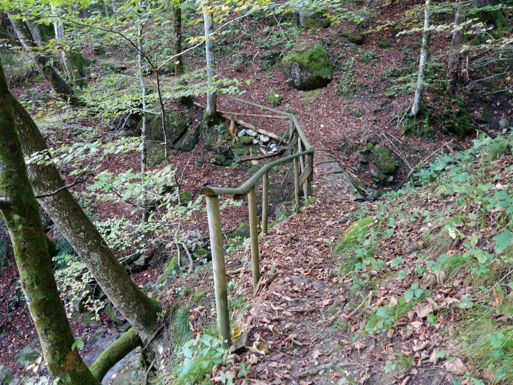 Pfad im Steinenbachtobel