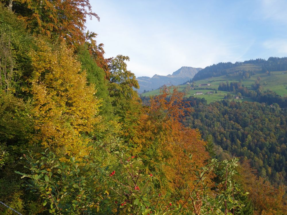 Herbstfarben mit Speer