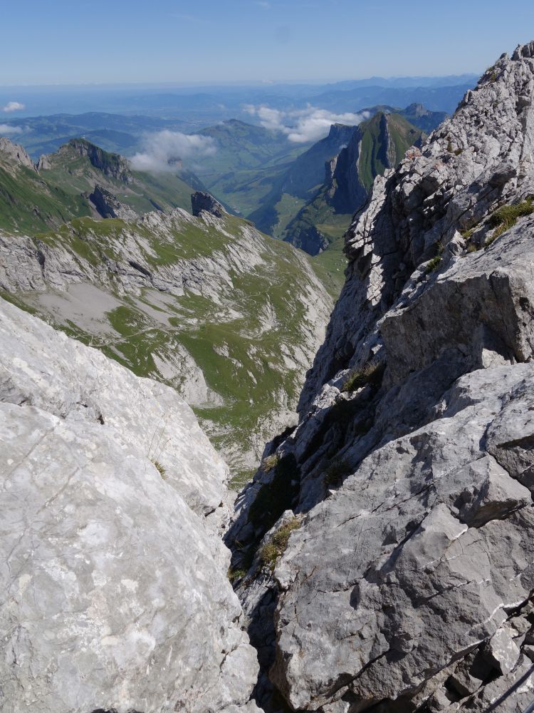 Schäfler und Marwees