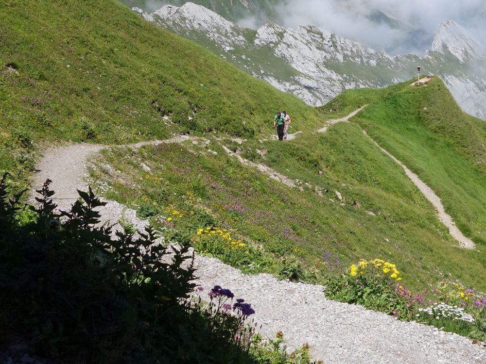 Wanderweg am Rotsteinpass