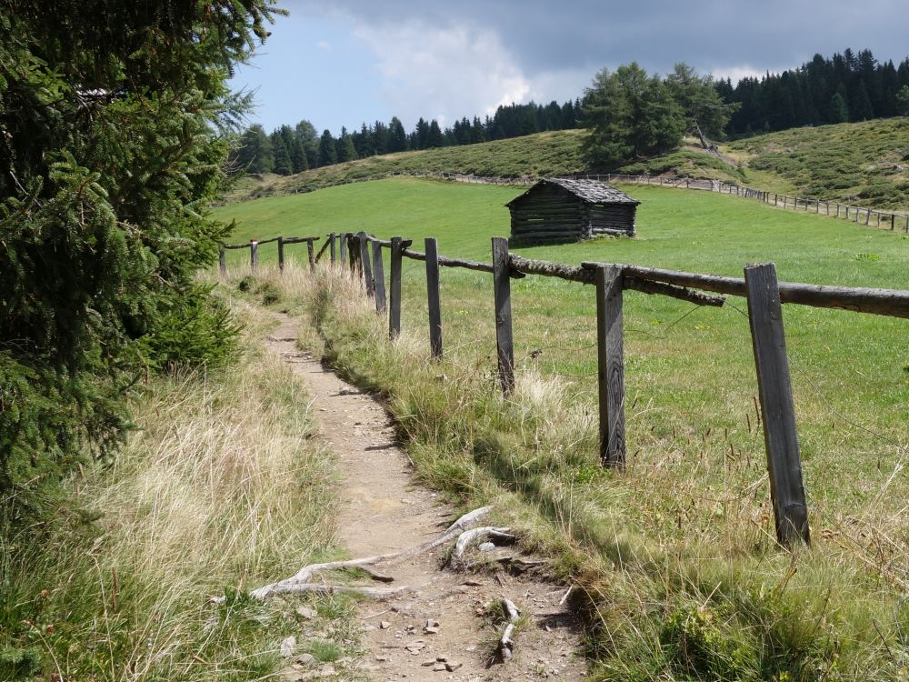 Wanderweg mit Hütte