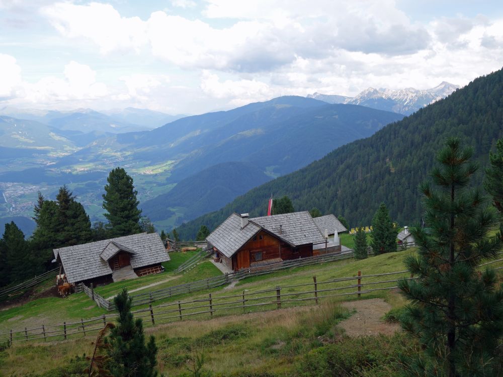 Walderalm