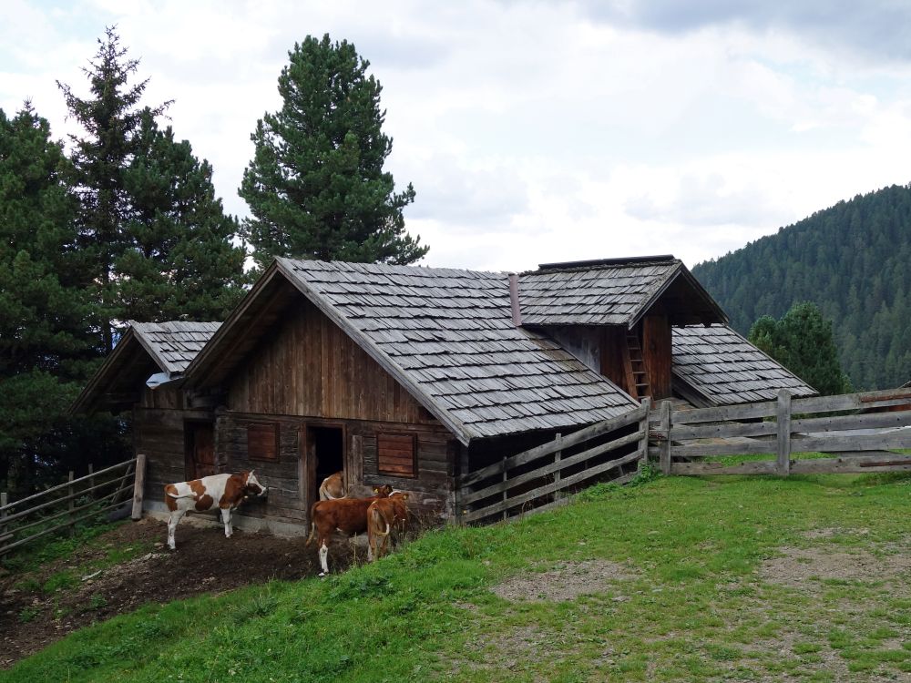 Stall bei Walderalm