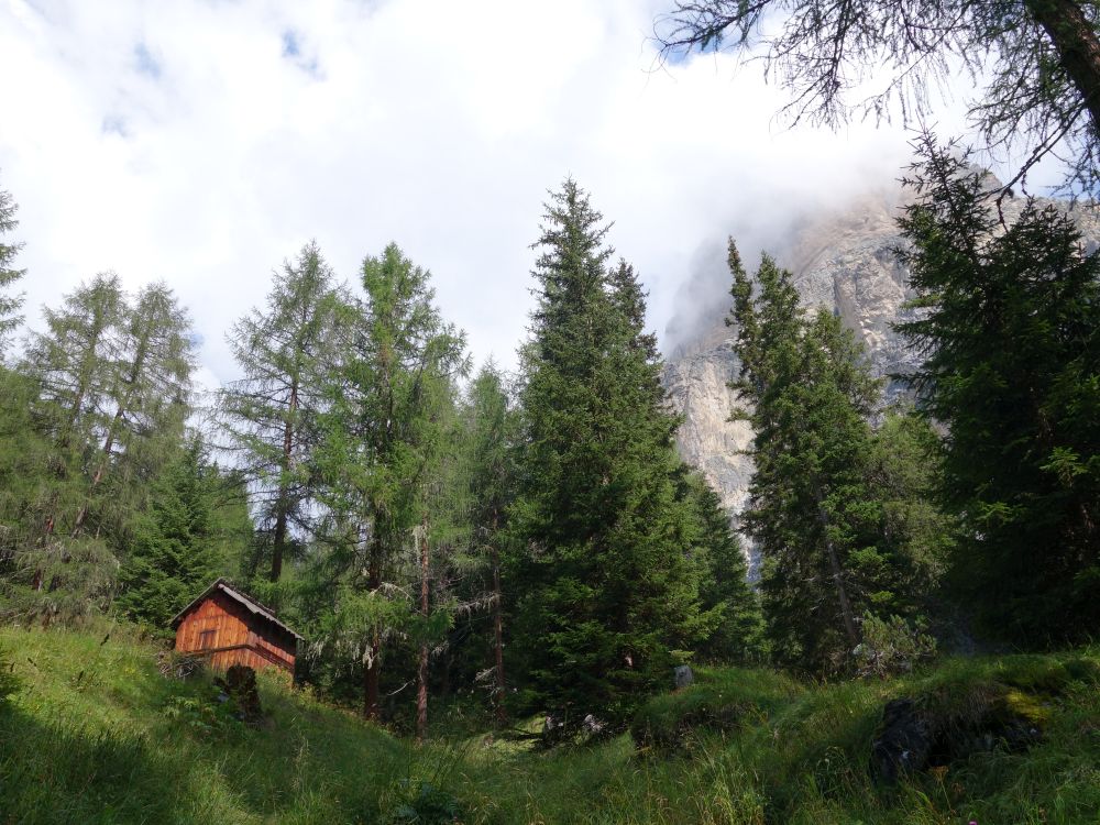 Lärchen und Sassongher in Wolken