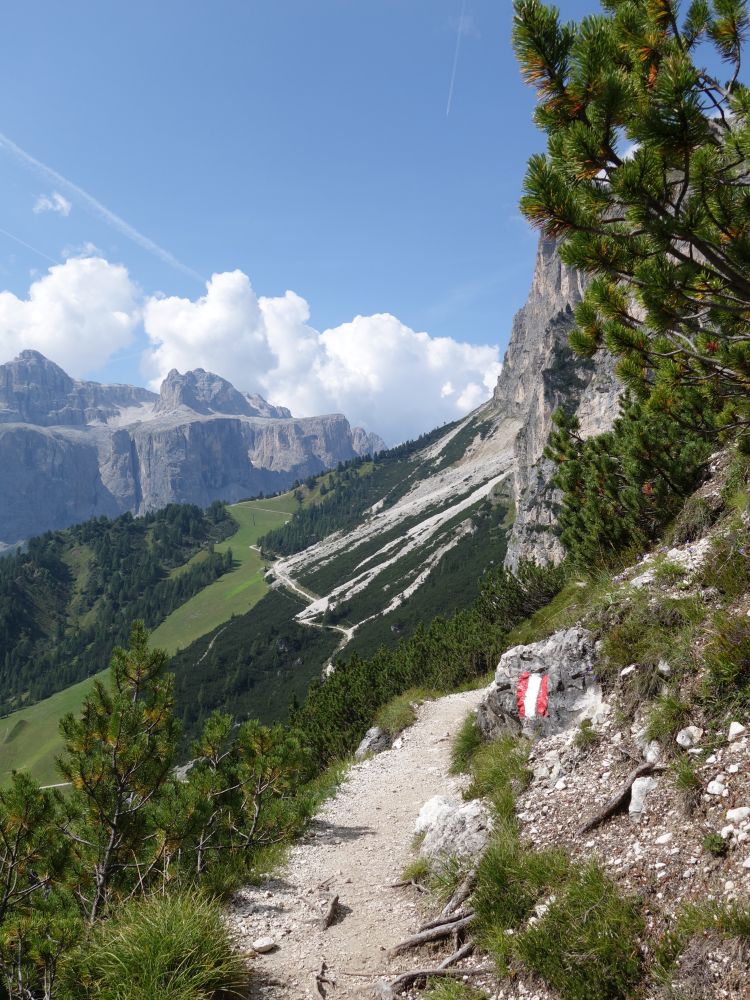 Wanderweg unterm Ciampatsch