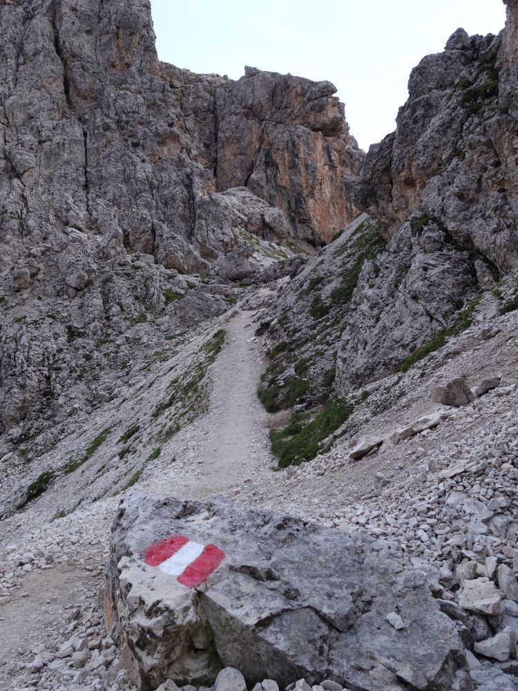 Wanderweg unterm Cirjoch