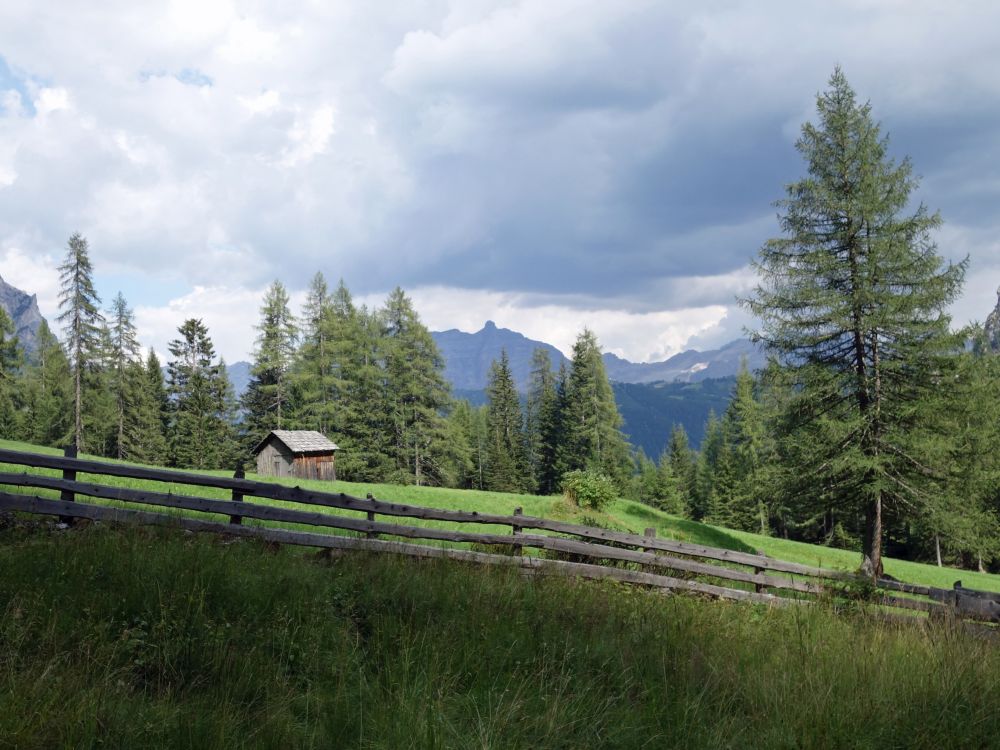 Lerchenwald mit Conturinesspitze