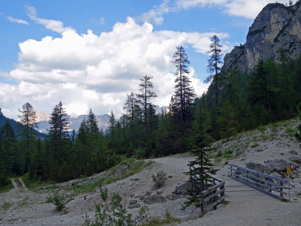 Holzsteg und Lerchenwald im Gadertal