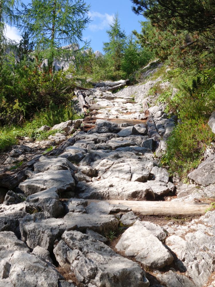 Wanderweg im Altensteintal