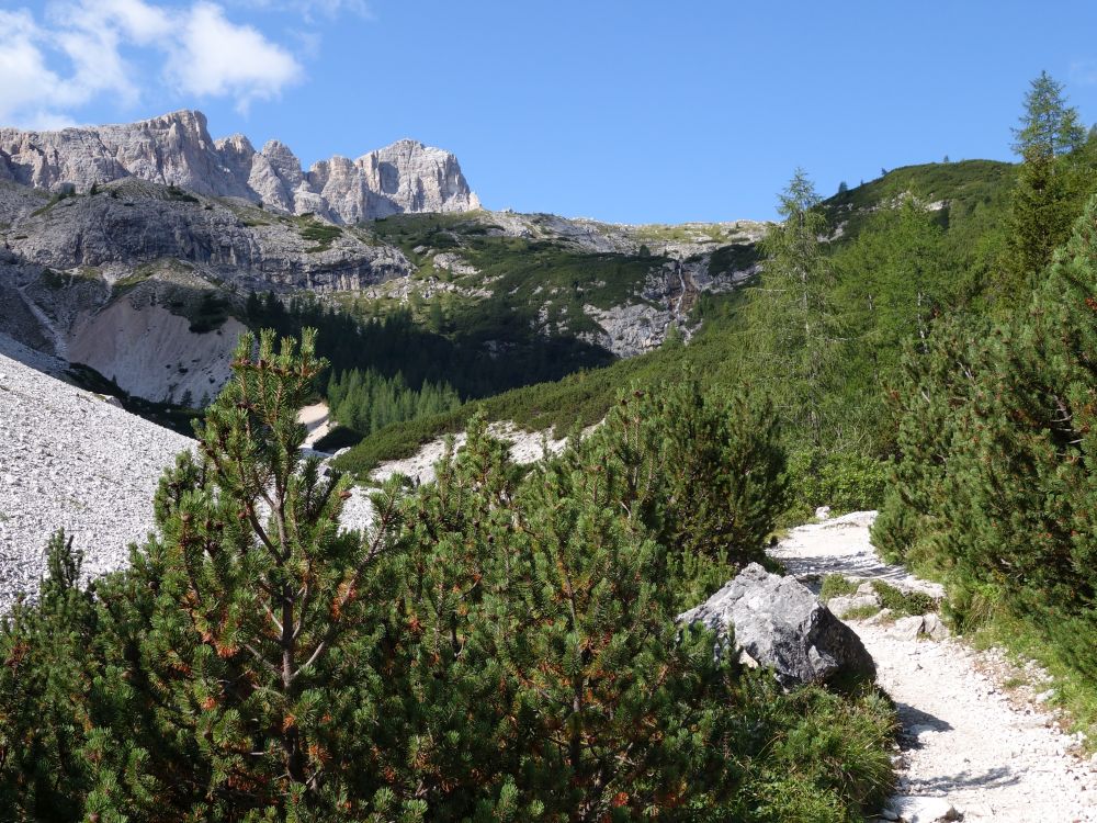 Wanderweg im Altensteintal