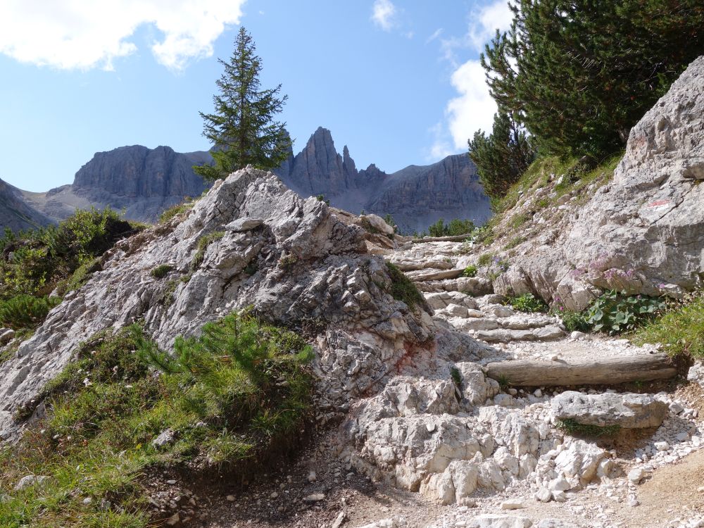 Wanderweg im Altensteintal