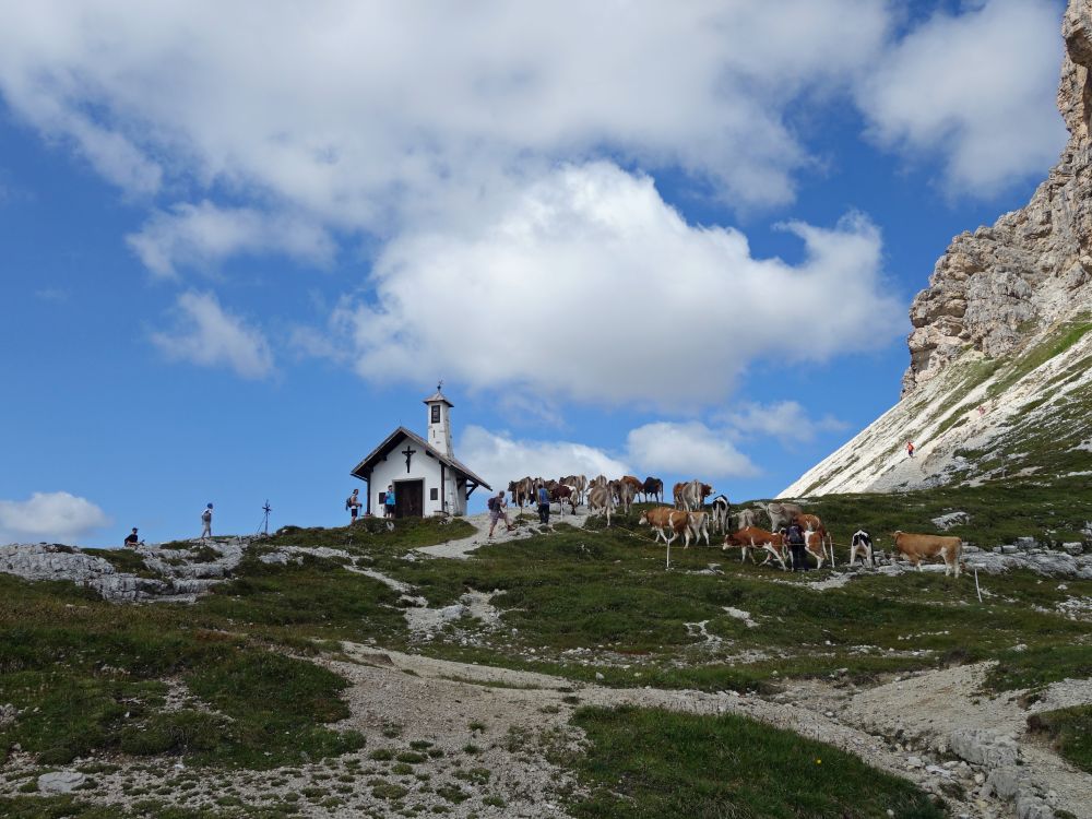 Kapelle und Kuhherde