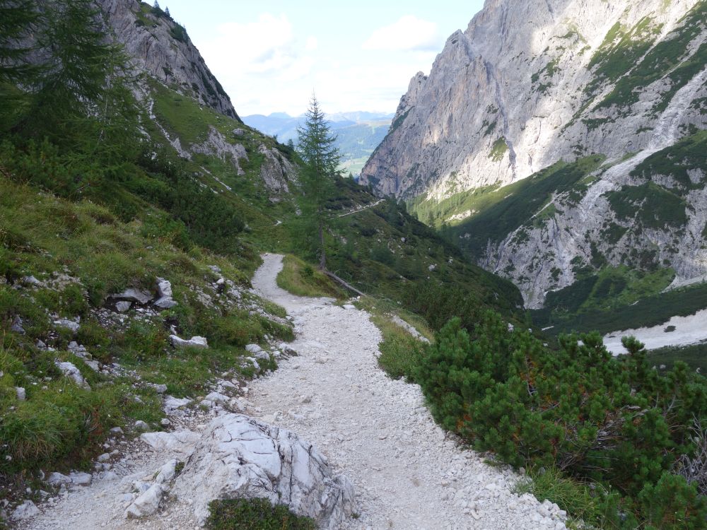 Wanderweg im Bacherntal