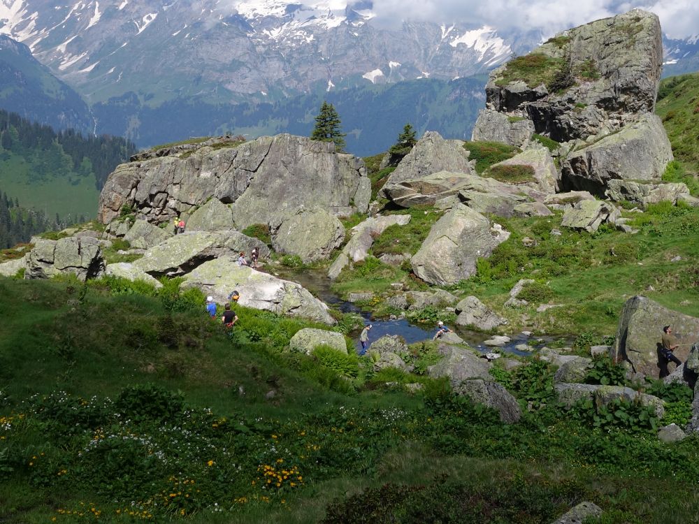 Gletterfelsen Widerstein