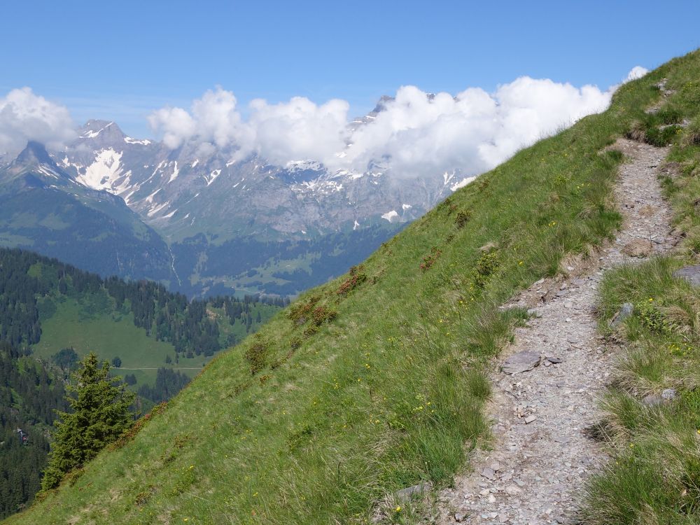 Bös Fulen (li.) und Glärnisch in Wolken