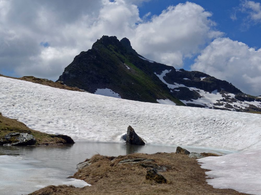 Schnee und  Charenstock