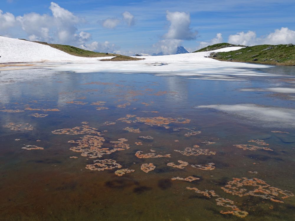 Schnee und Eis im Berglimattseeli