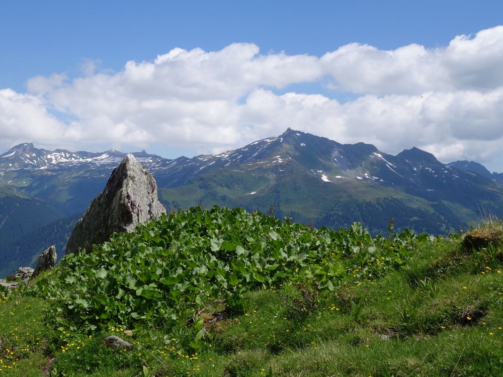 Blick von der Lauelialp