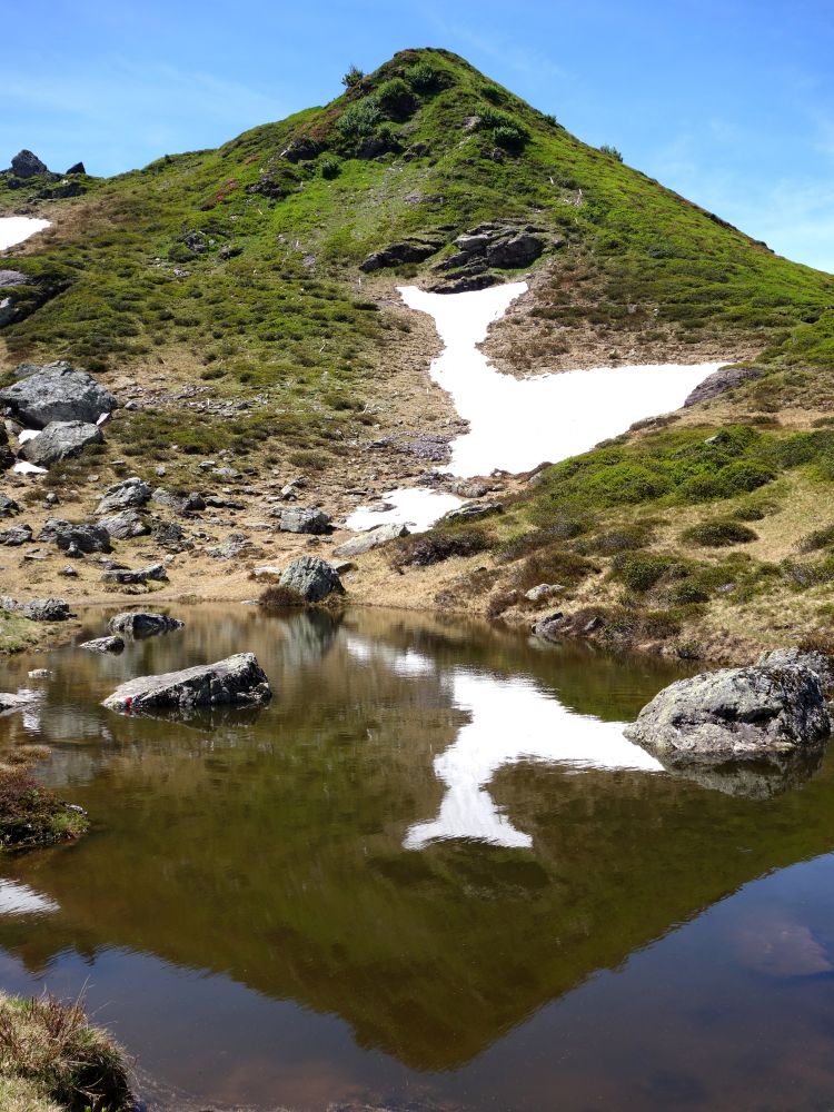 Spiegelung im See