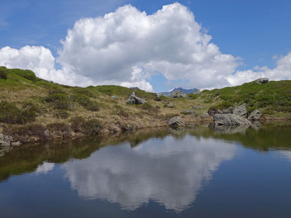 Spiegelung im See