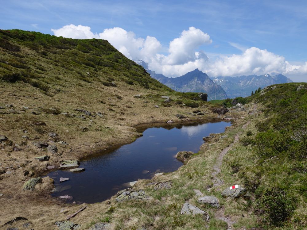 Kleiner See mit Vorder Glärnisch