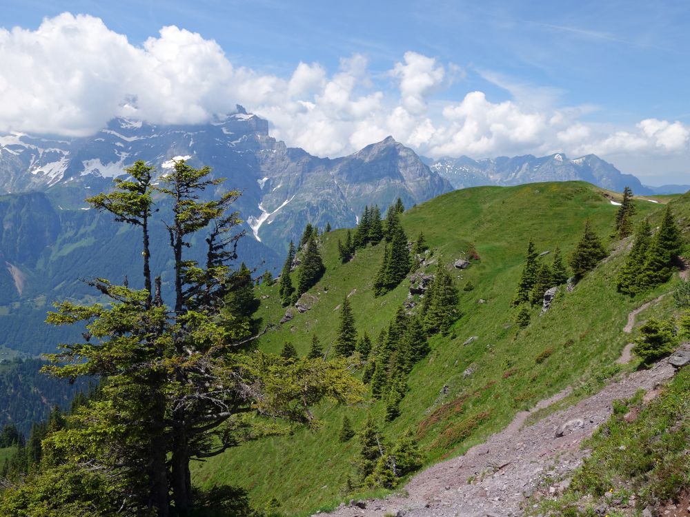 Blick zum Vorder Glärnisch