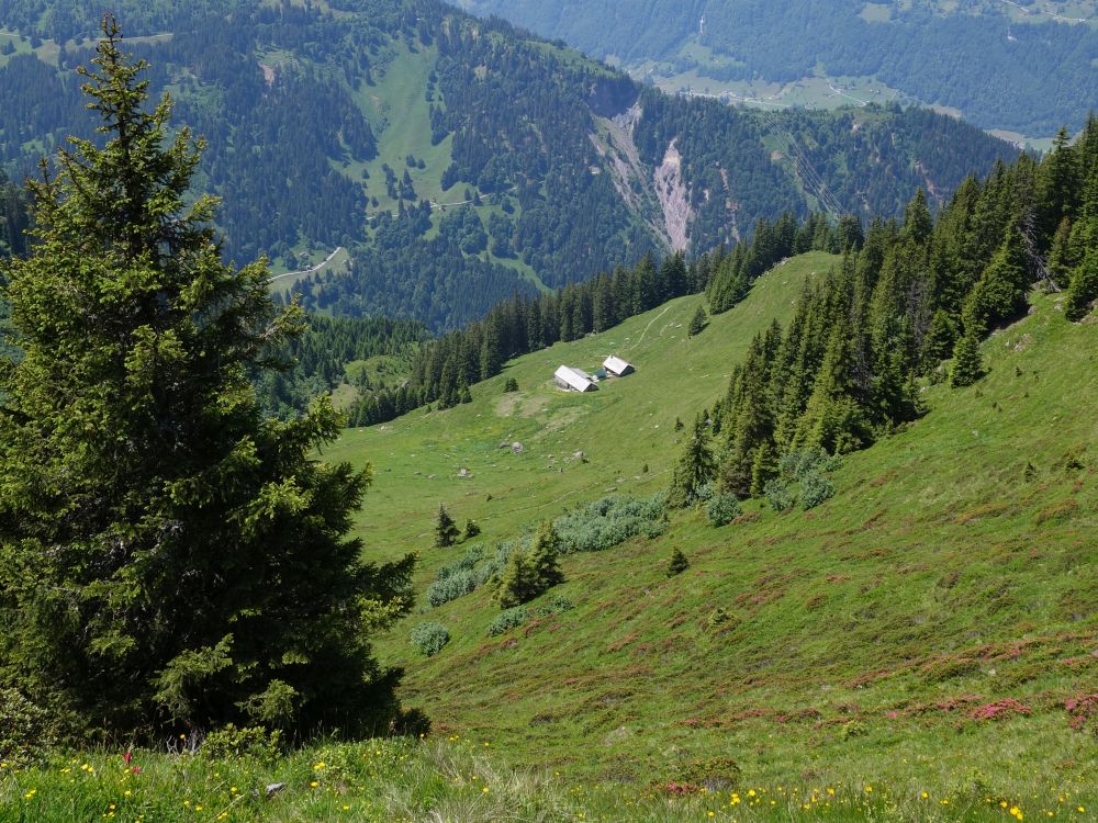 Blick auf Nüenhütten