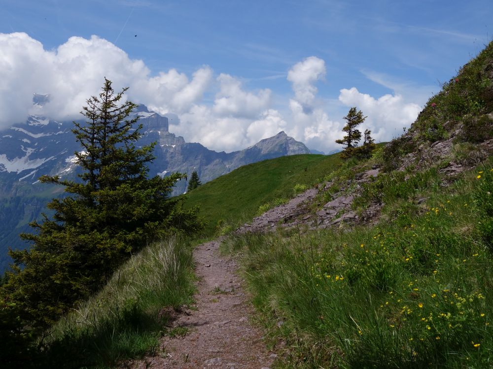 Pfad und Vorder Glärnisch