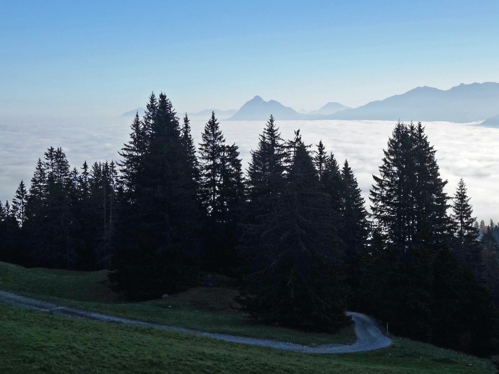 Stanserhorn und Buochserhorn