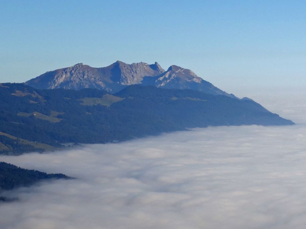 Pilatus über dem Nebel