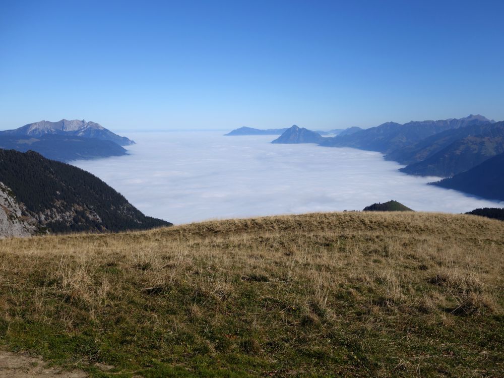 Nebelmeer zwischen Pilatus und Stanserhorn