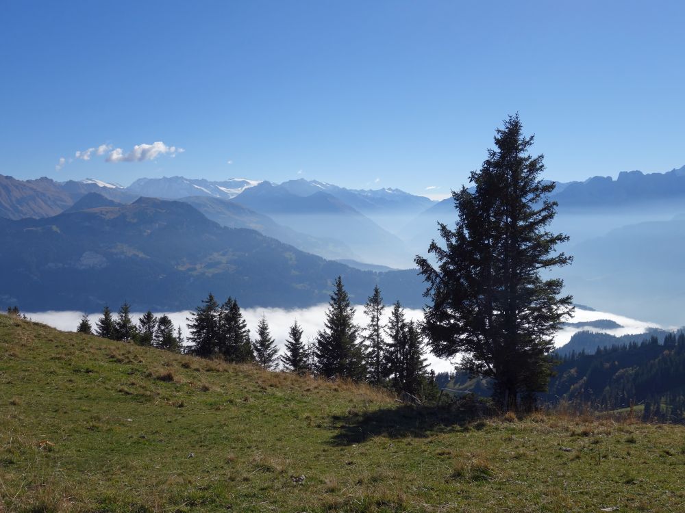 Gibel und Nebel über Brünig