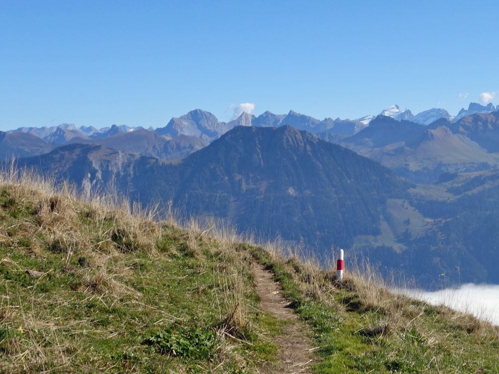 Wanderweg mit Blick zum Güpfi