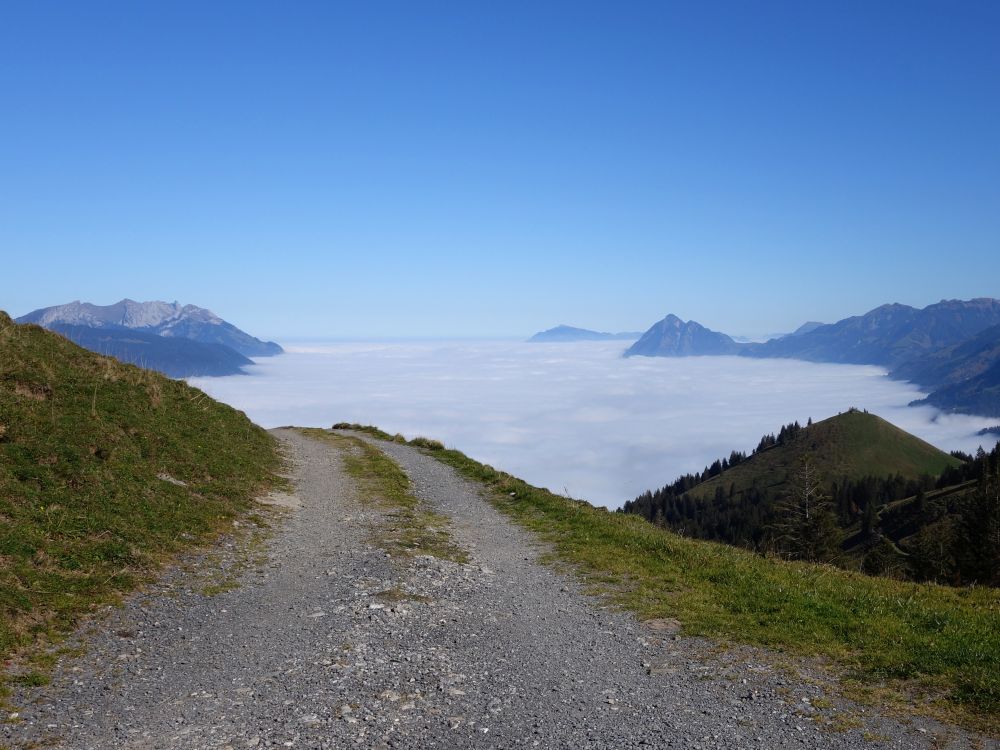 Wirtschaftsweg zum Nebelmeer