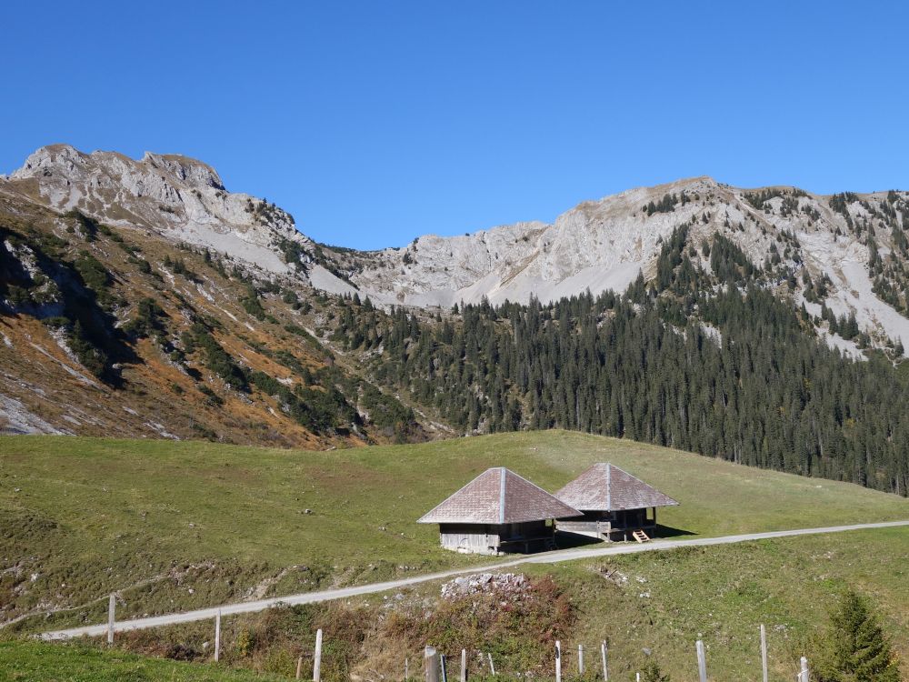 Hütten bei Fluonalp