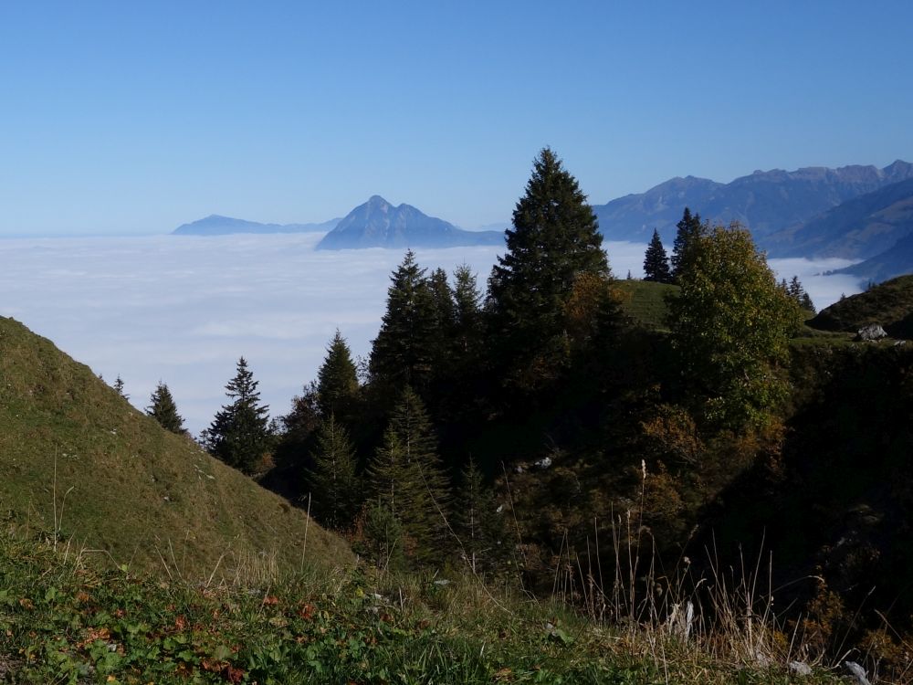 Rigi und Stanserhorn