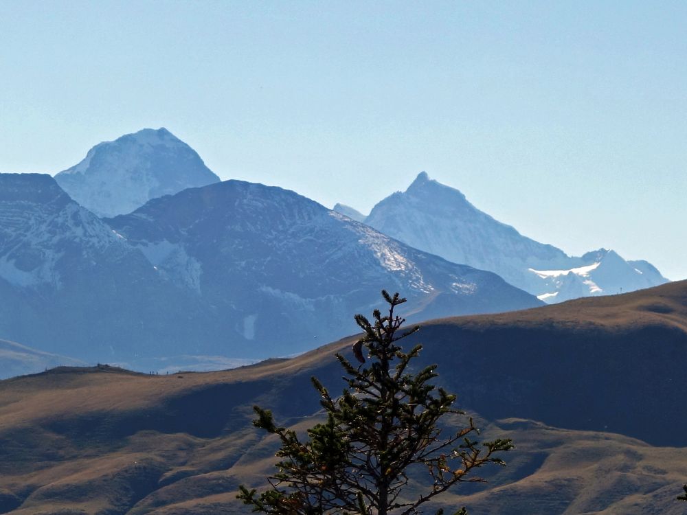 Eiger und Mönch