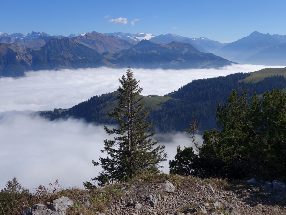 Güpfi, Gibel und Ritzlihorn