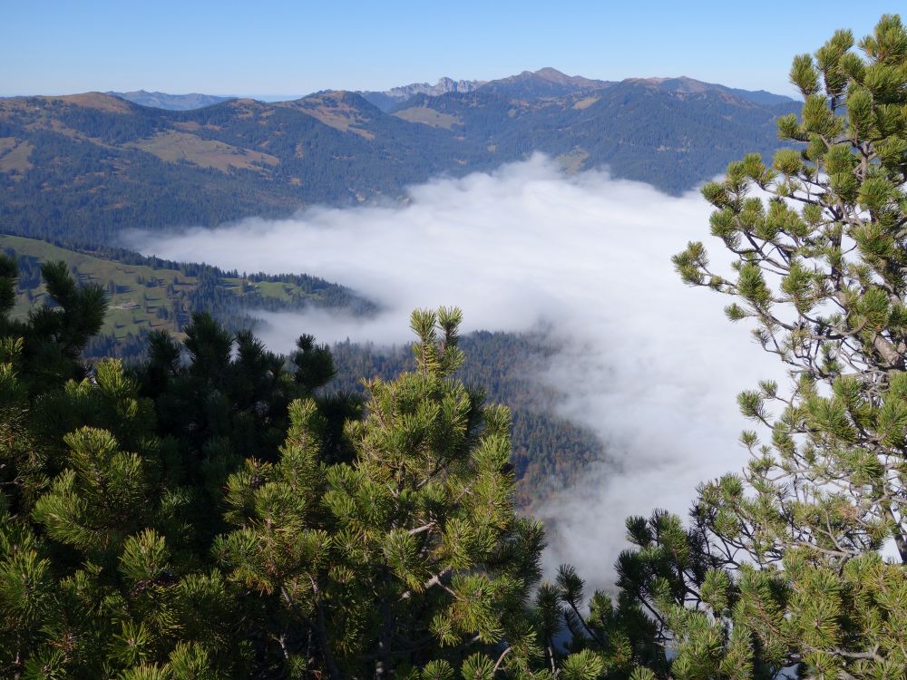 Blick vom Giswilerhorn