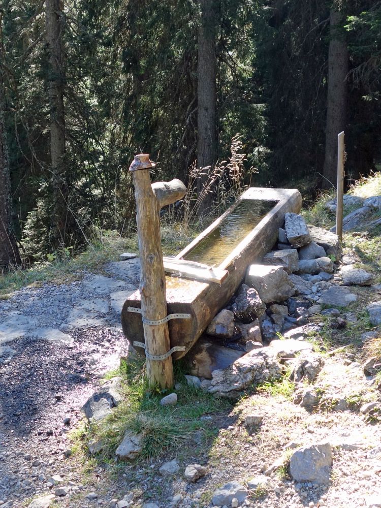 Brunnen bei Telti