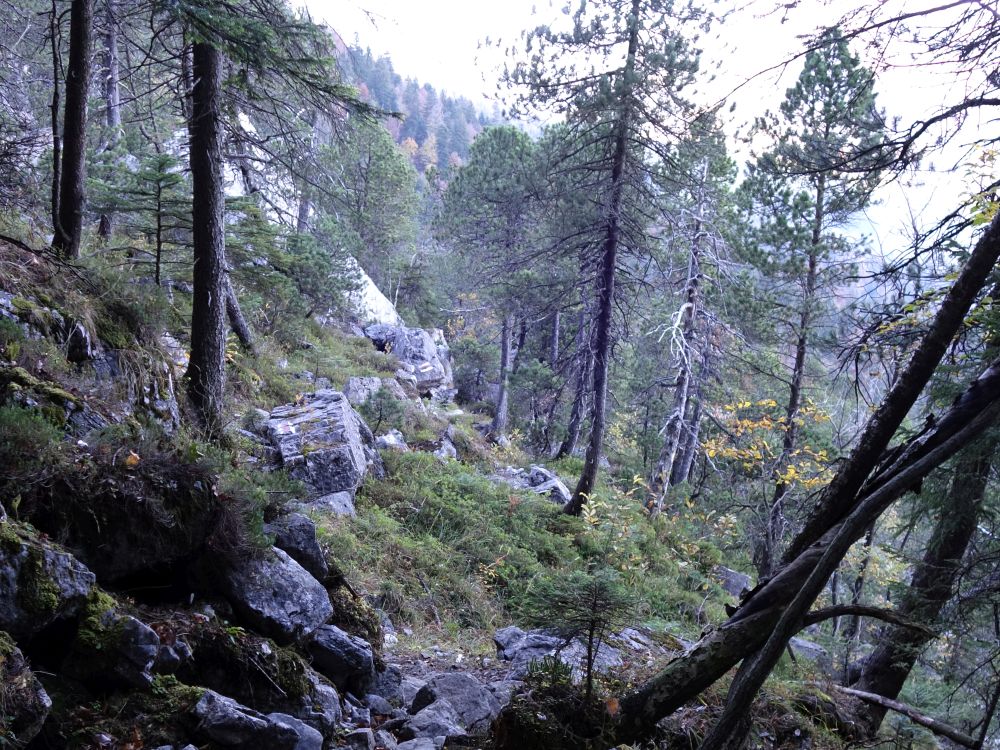 Felslandschaft bei Stockmatt