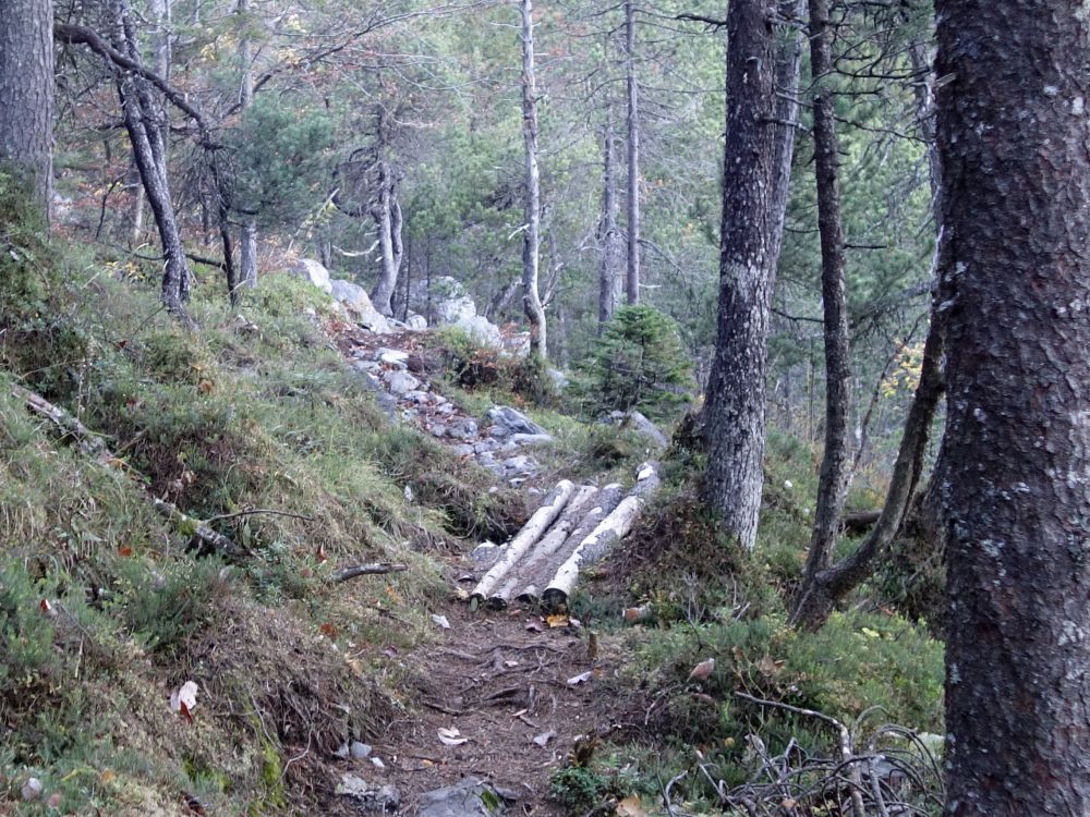 Wanderweg im Sandbodenwälfli