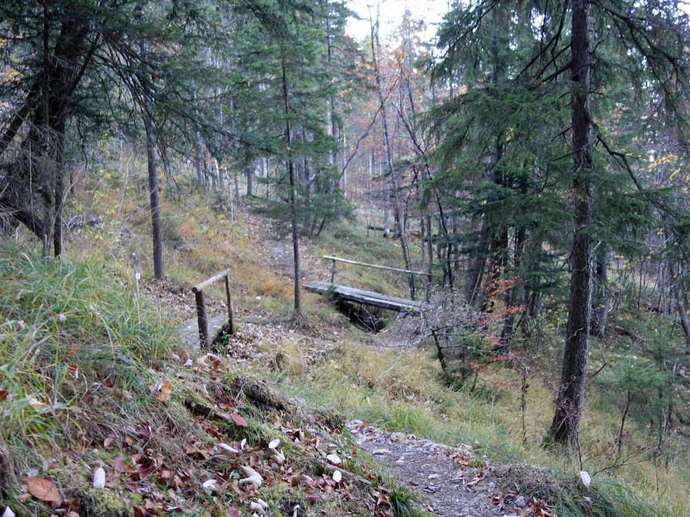 Wanderweg im Sandbodenwälfli