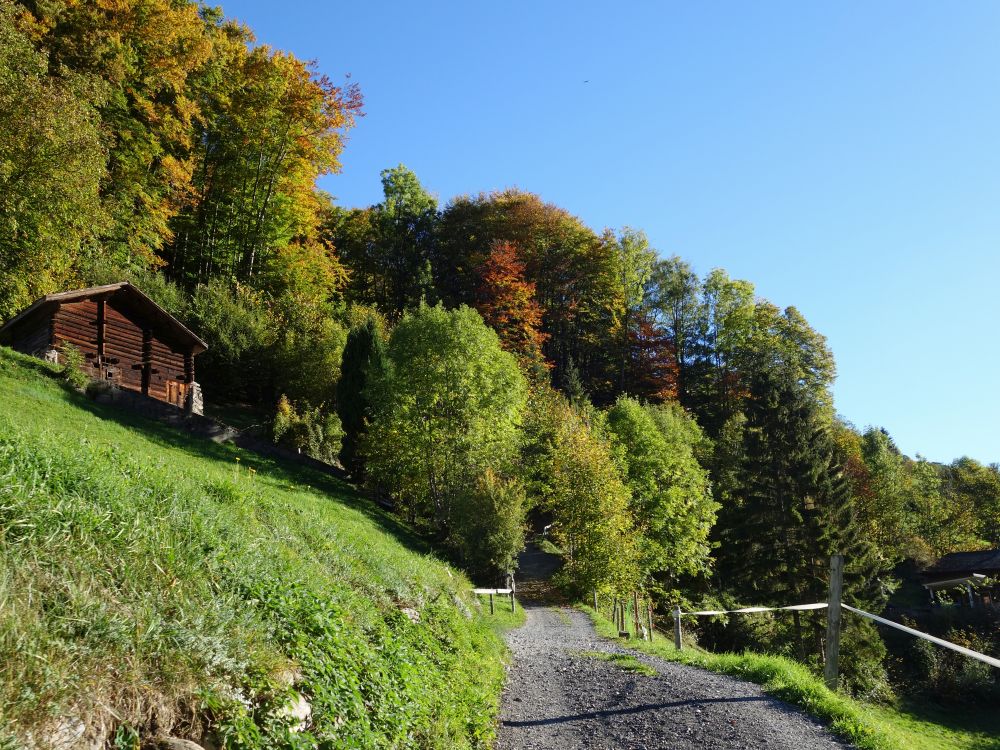Via Alpina