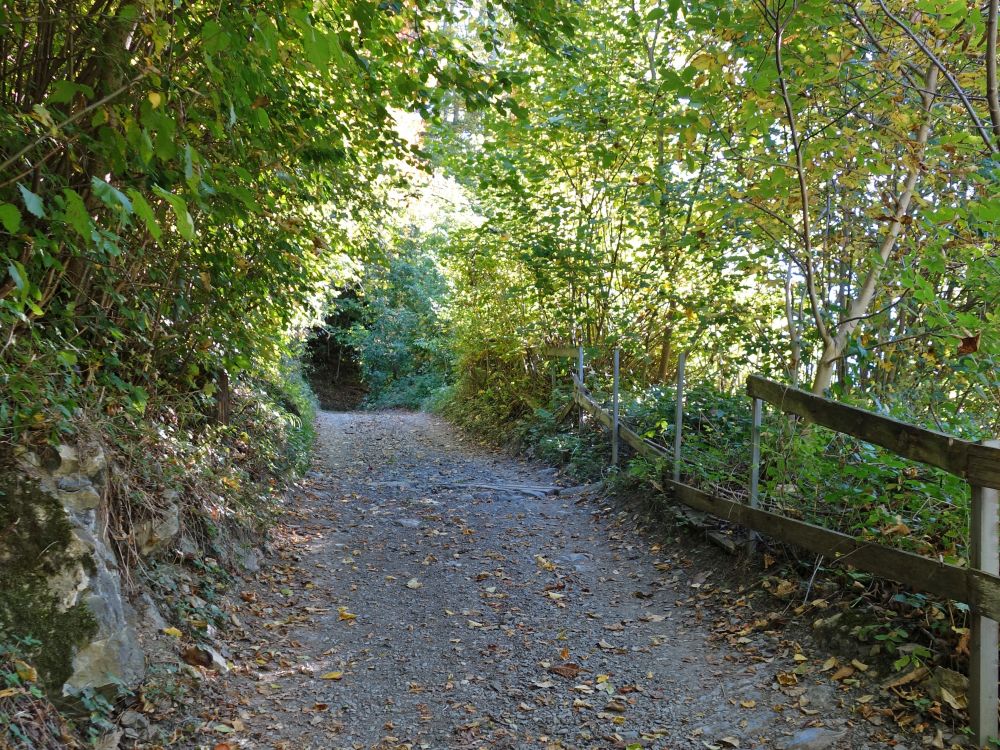 Via Alpina